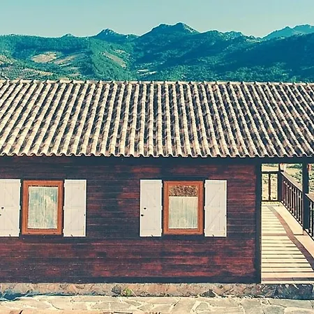 Charming House + Pool