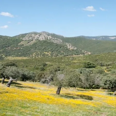 Дом отдыха Charming House + Pool *