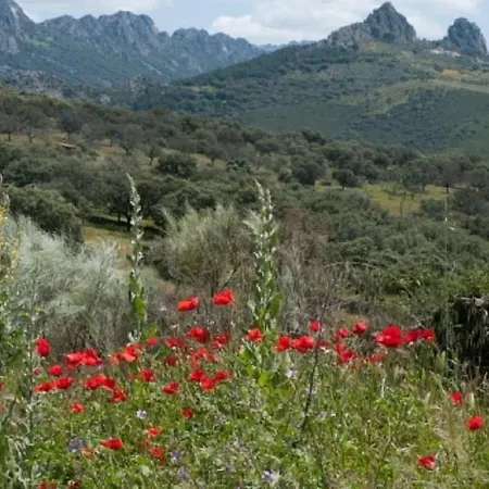 Charming House + Pool * Каньямеро