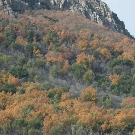 Дом отдыха Charming House + Pool Каньямеро
