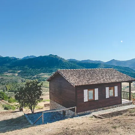 Charming House + Pool Holiday home *