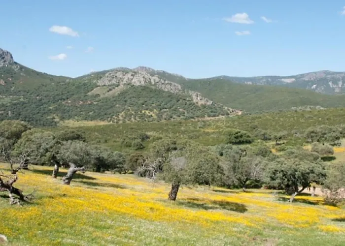 Casa vacanze Charming House + Pool *