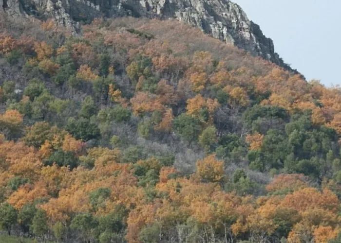 בית נופש Charming House + Pool Cañamero