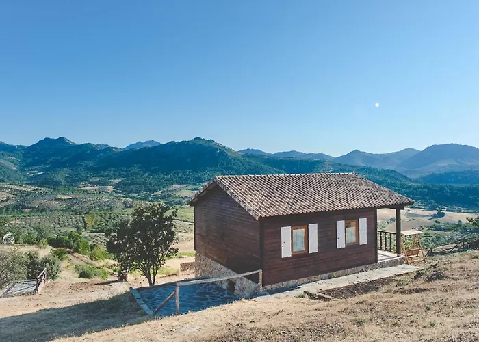 Charming House + Pool Casa vacanze *