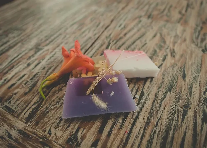 Charming House + Pool Cañamero